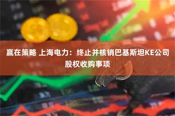 赢在策略 上海电力：终止并核销巴基斯坦KE公司股权收购事项