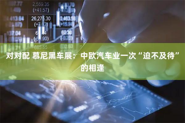 对对配 慕尼黑车展：中欧汽车业一次“迫不及待”的相逢