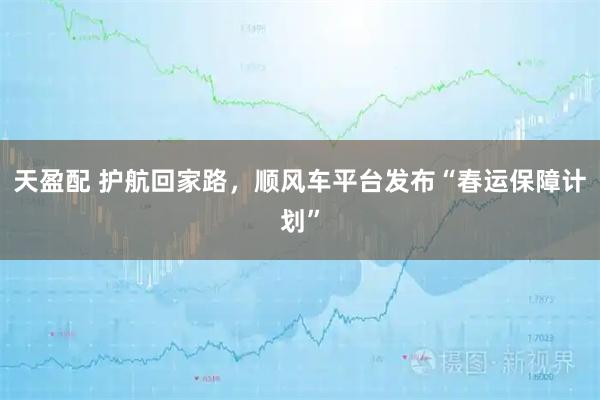 天盈配 护航回家路，顺风车平台发布“春运保障计划”