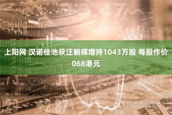 上阳网 汉诺佳池获汪朝晖增持1043万股 每股作价068港元